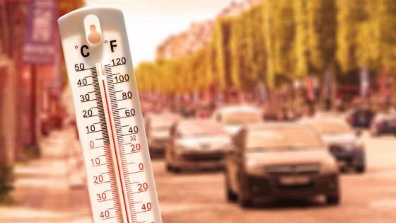 Temperature shocks and monetary policy in the US