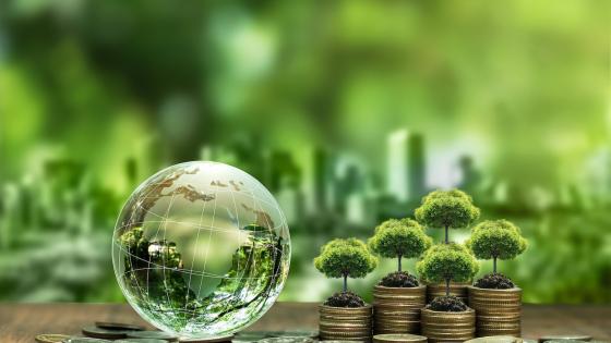 Tree on stack of silver coins and crystal globe