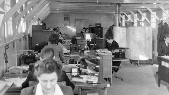 Women working in an office in the 1950s