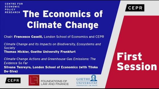 Blue background with white text "The economics of climate change" with CEPR logos