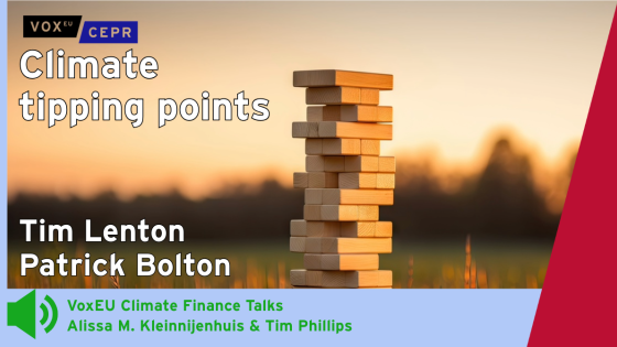 Stack of wooden blocks set against a backdrop of greenery in a field. Climate tipping points: Tim Lenton & Patrick Bolton interviewed in this VoxEU Climate Finance Climate Talk